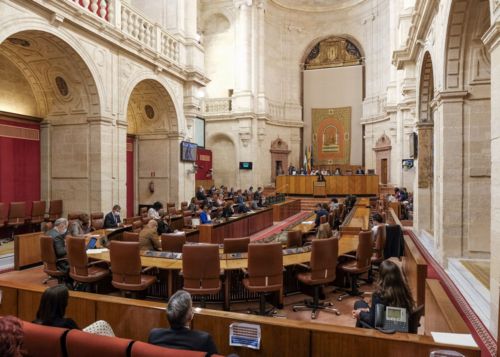  Pleno del Parlamento durante la intervencin de la consejera Roco Ruiz