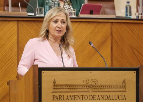  Por Ciudadanos interviene Ana Mara Llopis para defender la posicin de su grupo en el debate del Proyecto de Ley