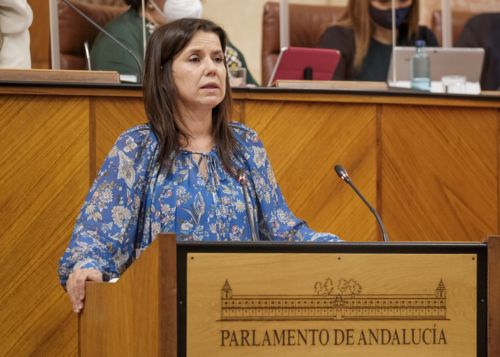  Ana Vanessa Garca interviene por el Grupo Popular en el debate sobre el Proyecto de Ley de Infancia y Adolescencia de Andaluca