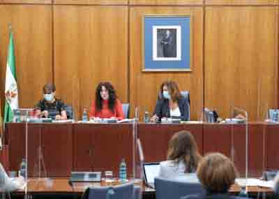   La Mesa de la Comisin de Igualdad, Polticas Sociales y Conciliacin durante la comparecencia de la consejera Roco Ruiz