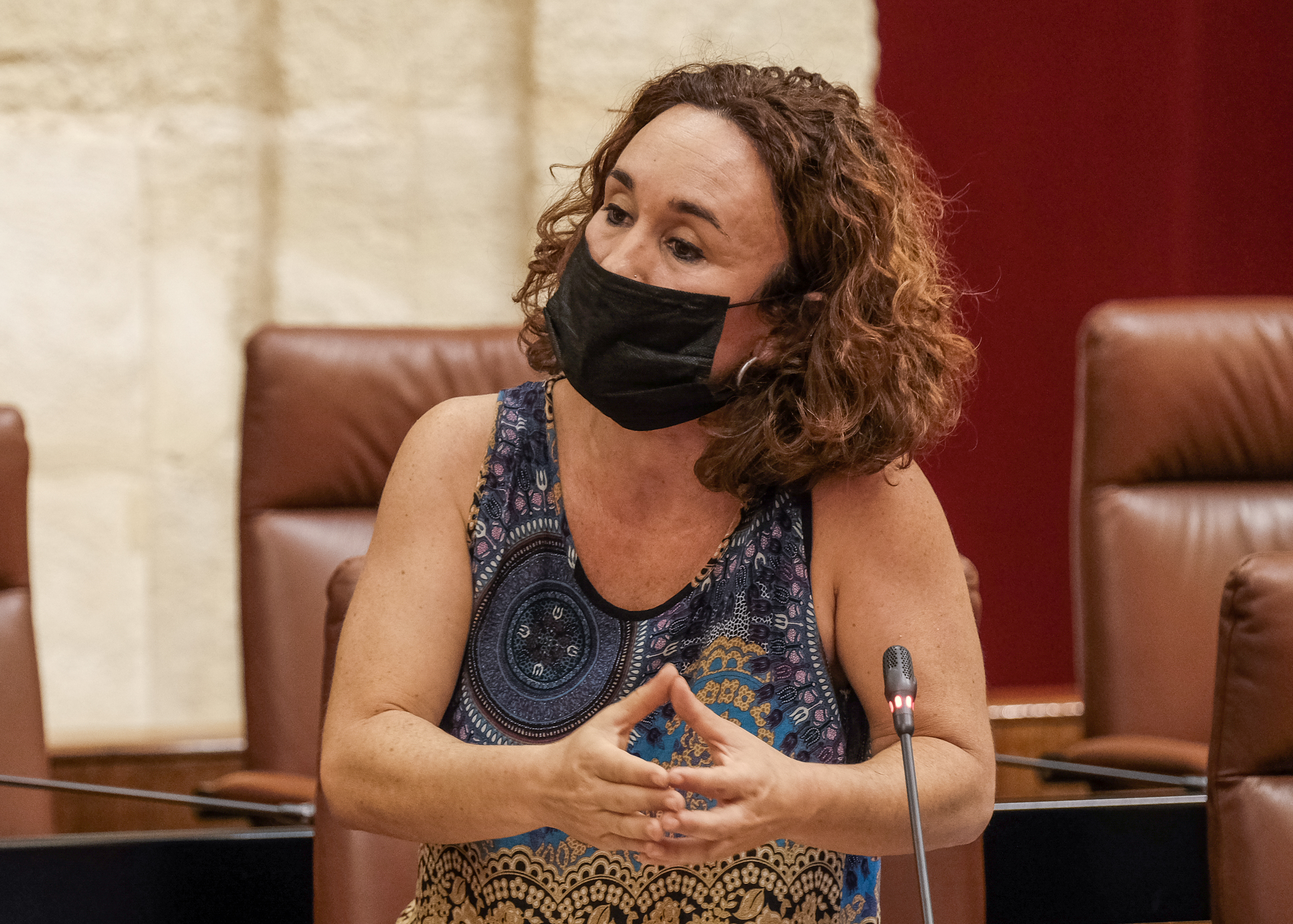  Ana Mara Naranjo, del G.P. Unidas Podemos, pregunta respecto a un Plan de Empleo a travs de los ayuntamientos