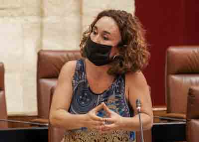  Ana María Naranjo, del G.P. Unidas Podemos, pregunta respecto a un Plan de Empleo a través de los ayuntamientos