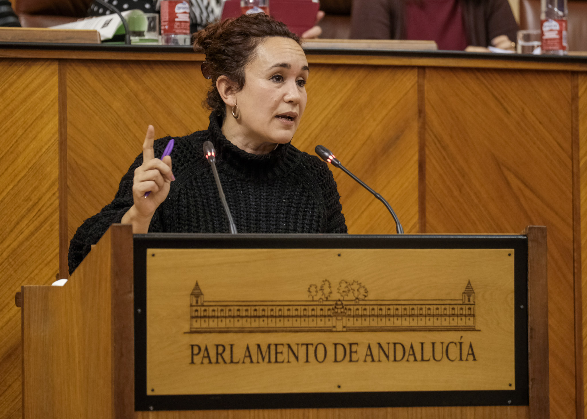 Ana Mara Naranjo, portavoz adjunta de Unidas Podemos por Andaluca 
