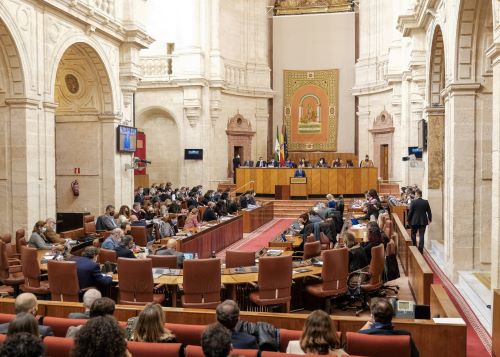  El Pleno del Parlamento durante la intervencin de Juan Bravo