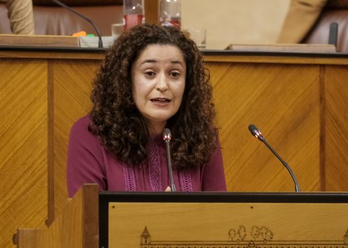  Por Unidas Podemos por Andaluca toma la palabra Inmaculada Nieto para defender la enmienda a la totalidad del Presupuesto