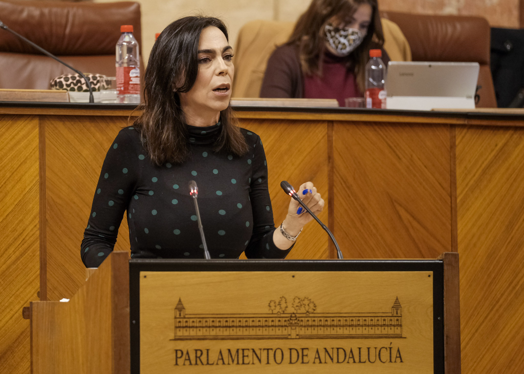  Teresa Pardo, de Ciudadanos, interviene en el debate de las enmiendas a la totalidad del Presupuesto