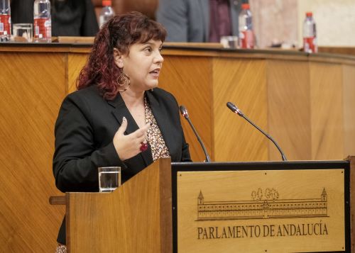  Mara Vanesa Garca, diputada no adscrita, durante su intervencin en el proyecto de ley