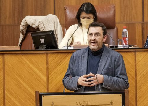 Guzmn Ahumada interviene por Unidas Podemos por Andaluca en el proyecto de ley sobre la financiacin de las ELAS