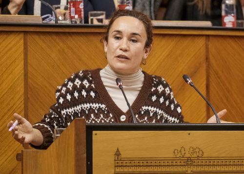  Ana Mara Naranjo posiciona a Unidas Podemos por Andaluca en la toma en consideracin de la Proposicin de Ley de Concordia