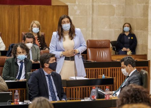  Mara Dolores Lpez, del Grupo Poular, interpela al presidente sobre la reactivacin econmica y social de Andaluca