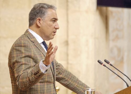 El consejero de la Presidencia, Elas Bendodo, solicita al Pleno la convalidacin del Decreto Ley por el que se adoptan medidas de simplificacin administrativa y mejora de la calidad regulatoria para la reactivacin econmica en Andaluca 