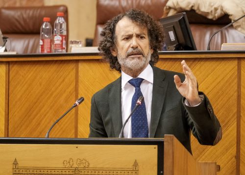   Pablo Venzal, por el Grupo Popular, defiende la convalidacin del decreto ley sobre simplificacin administrativa
