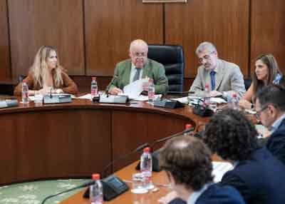 Jess Aguirre, presidente del Parlamento de Andaluca, pregunta el parecer de uno de los portavoces en la sesin de la Junta de Portavoces 