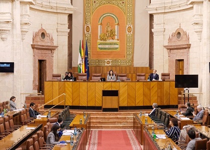 Imagen del Pleno durante la última sesión de la Diputación Permanente