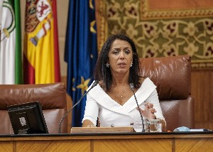 La presidenta del Parlamento, Marta Bosquet, en una reciente sesión del Pleno