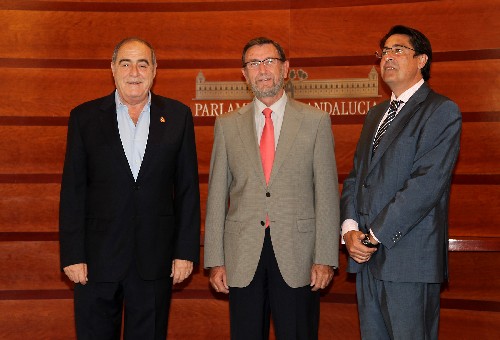 Joaquín Vidal, Manuel Gracia y Pedro Mancera