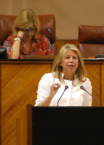 La alcaldesa de Marbella y diputada del Grupo Popular, María Ángeles Muñoz, durante el debate