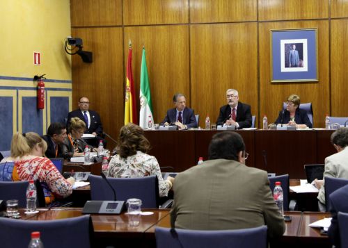 Antonio �vila, consejero de Econom�a, Innovaci�n, Ciencia y Empleo, durante su comparecencia en la Comisi�n de Asuntos Europeos