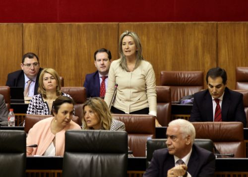 La diputada popular Carolina Gonzlez Vigo pregunta sobre las ayudas a la Sierra Norte de Sevilla