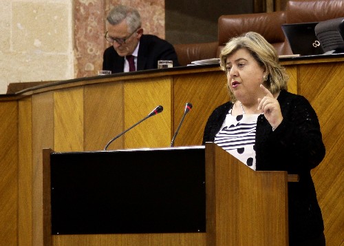 Clara Aguilera, del Grupo parlamentario Socialista