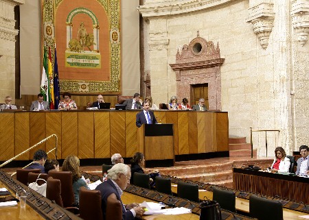 El Pleno del Parlamento, durante la intervencin del promotor de la Iniciativa Legislativa Popular en el estreno del Escao 110