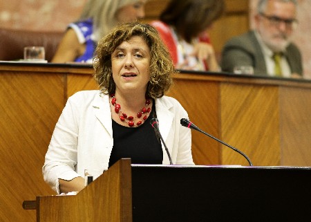 Alba Doblas, del Grupo IULV-CA, en el debate final de la proposicin de ley sobre transexualidad