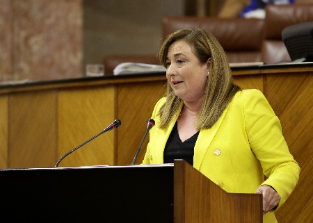 La diputada del Grupo Socialista Soledad Prez, en la defensa de la proposicin de ley sobre transexualidad