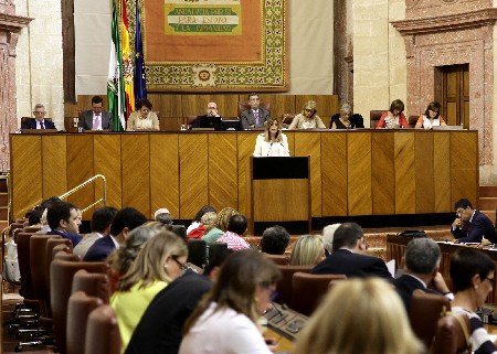 La Mesa de la Cmara, durante el discurso de Susana Daz