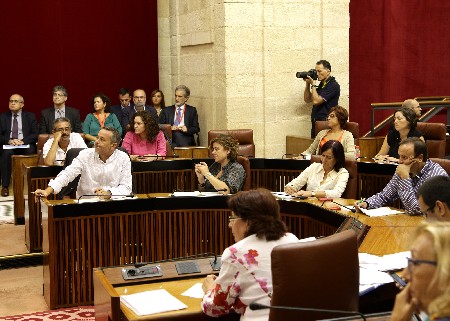 Los diputados del Grupo parlamentario IULV-CA, durante la sesin