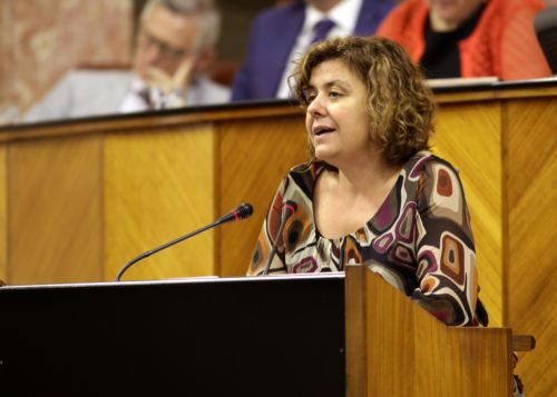 Alba Doblas, del Grupo parlamentario IULV-CA, durante la presentacin de las propuestas de resolucin