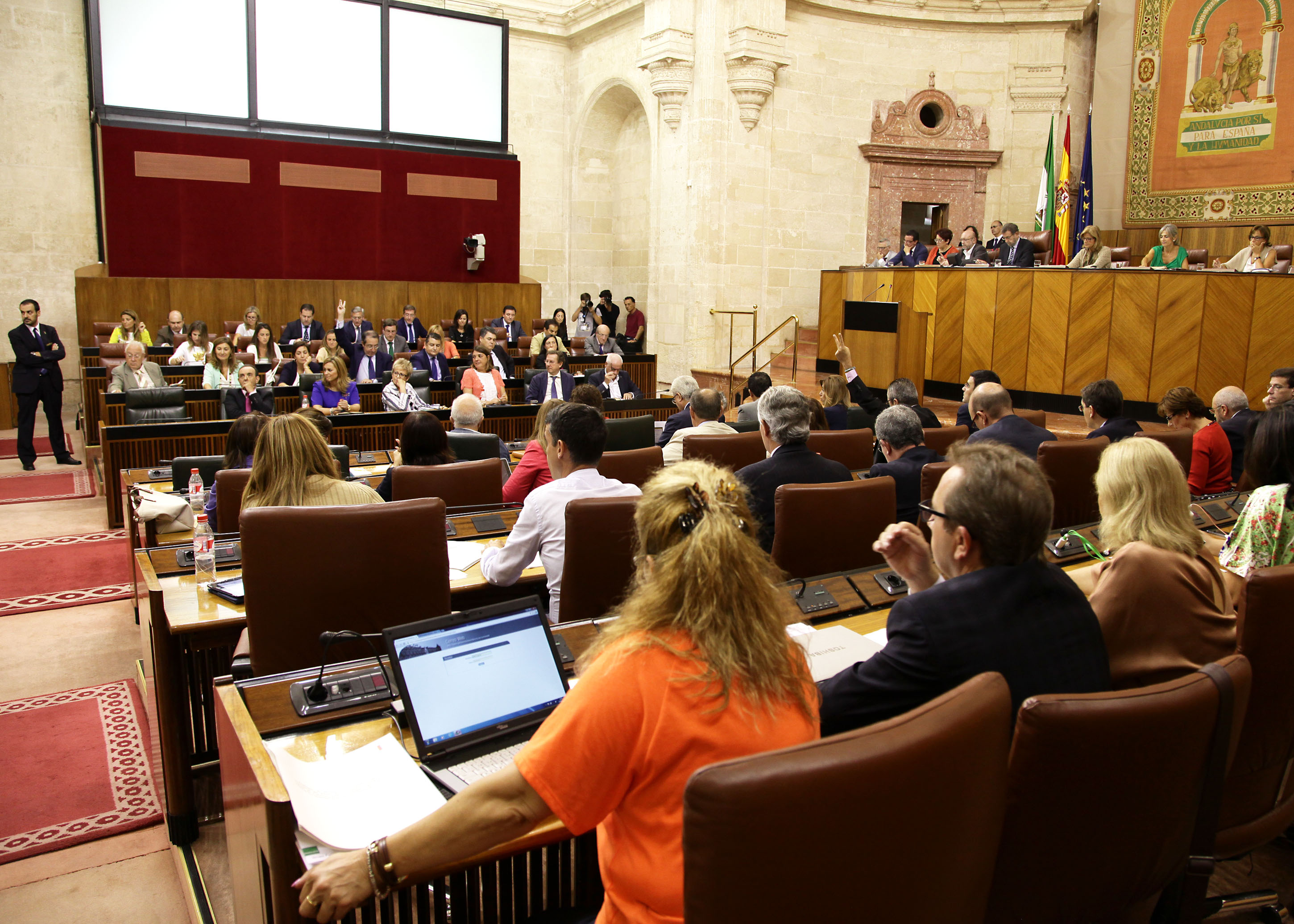 El Pleno, durante la votacin de las propuestas de resolucin