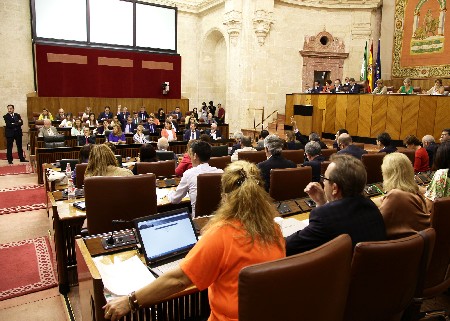 El Pleno, durante la votacin de las propuestas de resolucin