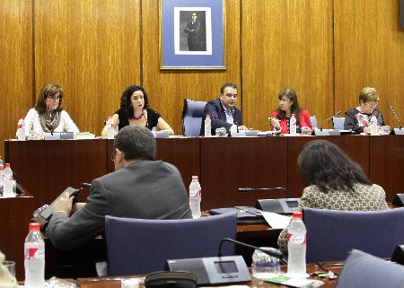 La Comisin de Agricultura asisti a una comparecencia de la Plataforma Andaluca Libre de Transgnicos