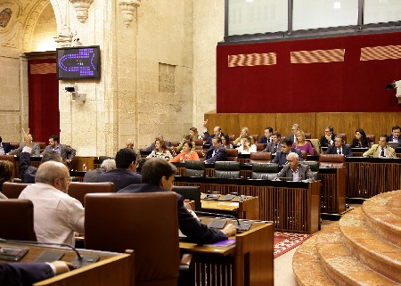 El Pleno, durante una de las votaciones de la jornada