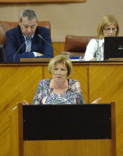 Mara Dolores Caldern, del Grupo parlamentario Popular