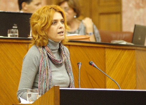 Ana Mar�a Tudela, del Grupo Socialista, defiende en el Pleno el reconocimiento de los derechos de las personas transexuales