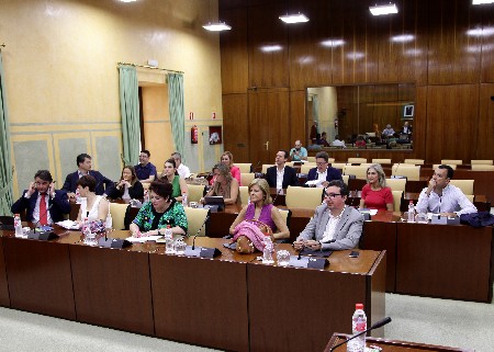 Diputados del Parlamento en la sesin de constitucin de unas de las comisiones de la Legislatura