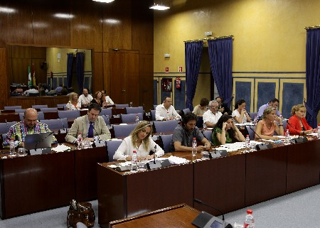 Los diputados de la Comisin de Educacin asisten a la comparecencia de la consejera