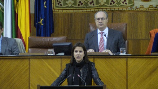 Ana Vanessa Garca, del Grupo Popular, presenta al Pleno una mocin sobre atencin a la dependencia 