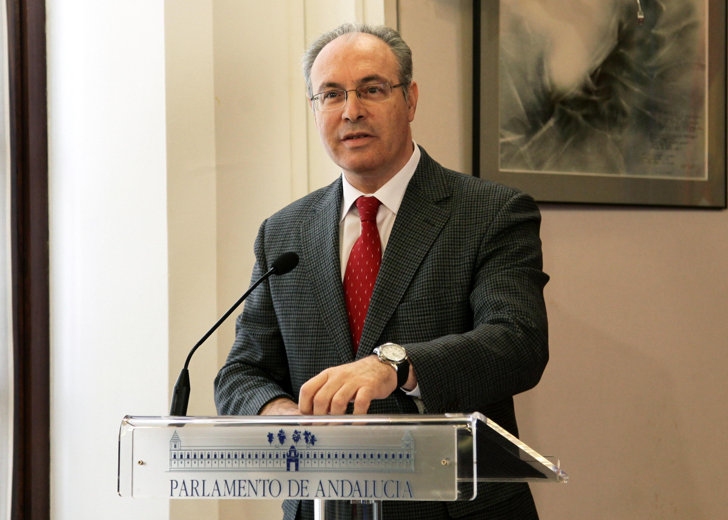 El presidente del Parlamento, Juan Pablo Durn, durante su intervencin