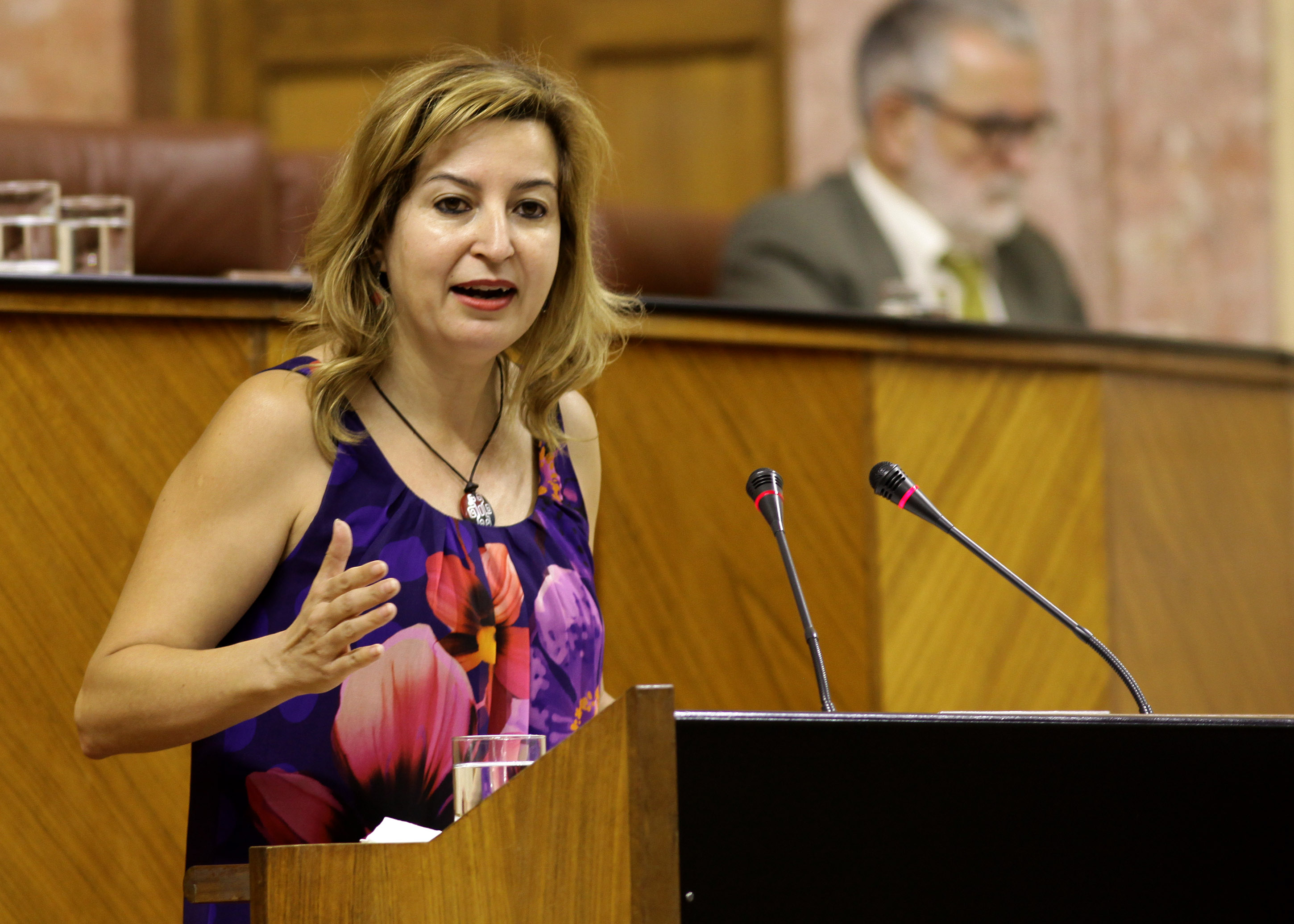 Carmen Lizrraga, de Podemos, presenta la mocin de su grupo relativa a poltica general para mejorar la situacin de las relaciones financieras con las corporaciones locales 