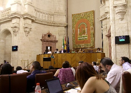 El Pleno del Parlamento estren pantallas para contabilizar el tiempo de las intervenciones
