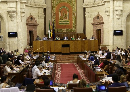 El Pleno del Parlamento, durante la lectura de la Declaracin Institucional de apoyo a la empresa Ybarra