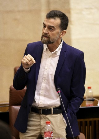 El portavoz del Grupo IULV-CA, Antonio Mallo, en la sesin de control al Gobierno