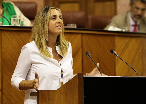 La diputada Mara Francisca Carazo presenta una proposicin no de ley sobre plantillas docentes