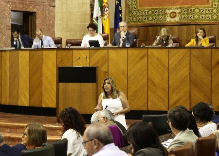 El Pleno del Parlamento, durante una de las intervenciones de Susana Daz en la sesin de control