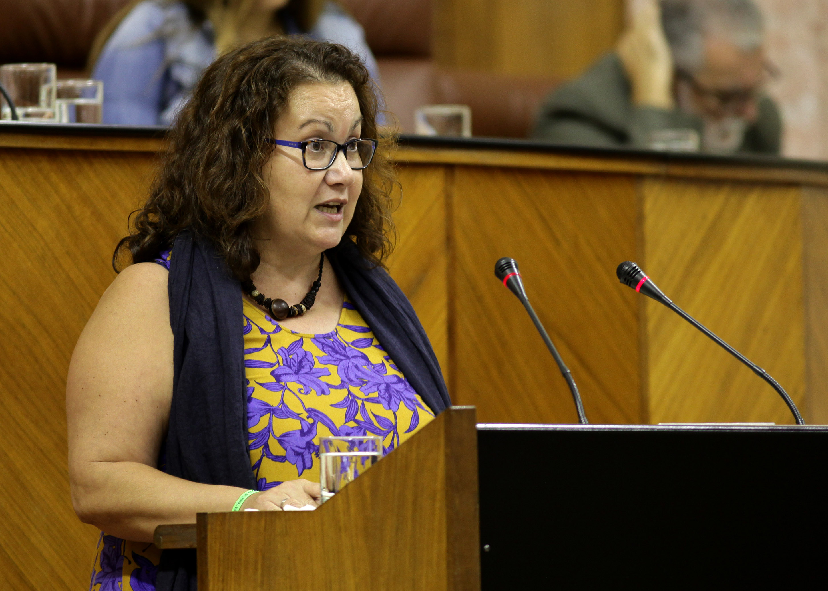 Mara Carmen Prieto posiciona al Grupo Ciudadanos en el debate de las proposiciones de ley