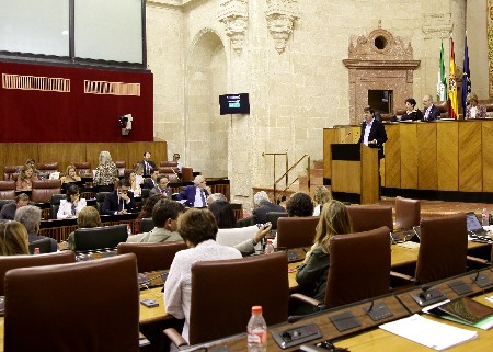 El Pleno del Parlamento, durante la intervencin del portavoz del Grupo Ciudadanos