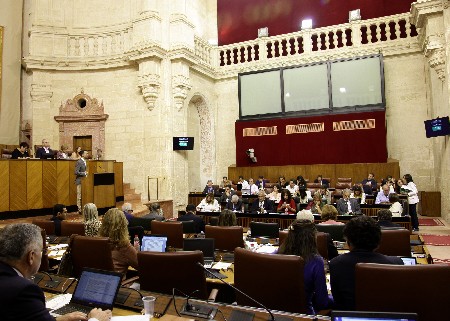 El Pleno de la Cmara, durante una intervencin del portavoz del Grupo IULV-CA