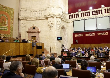 El Pleno del Parlamento, en la segunda jornada del Debate sobre el Estado de la Comunidad Autnoma